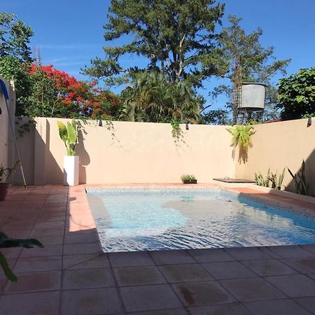 Colibri Hostel プエルト・イグアス エクステリア 写真