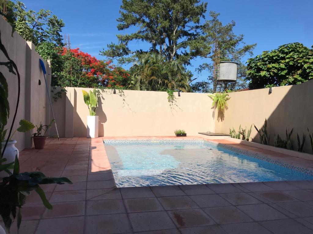 Colibri Hostel プエルト・イグアス エクステリア 写真