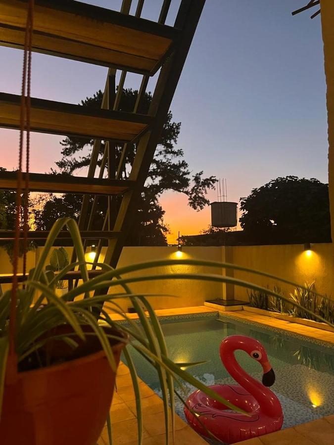 Colibri Hostel プエルト・イグアス エクステリア 写真